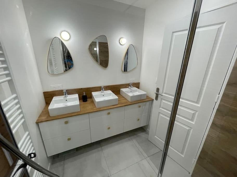 Blue Iro, Lumineux, 4 Chambres, Balcon, 105M2 Saint-Etienne  Eksteriør billede